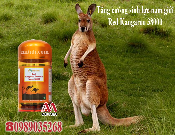 Thực phẩm tăng cường sinh lực đàn ông Golden Health Mitidi-tang-cuong-sinh-ly-nam-gioi-kangaroo-GOLDEN-HEALTH-RED-KANGAROO-ESSENCE-SUPER-38000MG-22.jpg (372 KB)